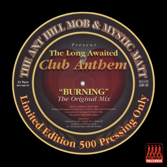 Mystic Matt & Anthill Mob – Burning