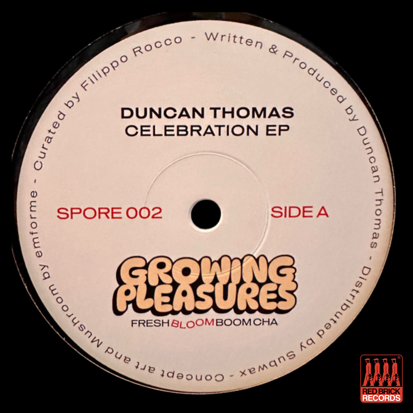 Duncan Thomas - Celebration EP