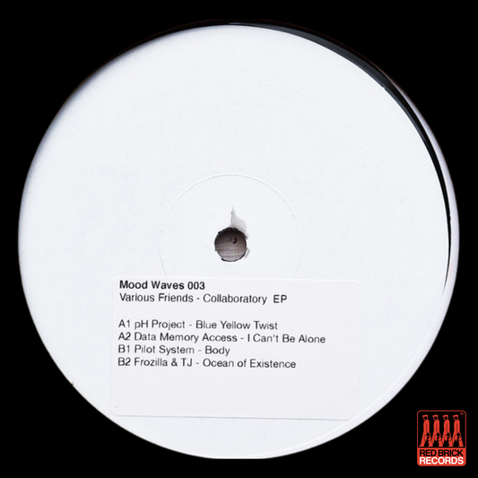 Moodwaves collaboratory EP