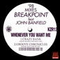 Breakpoint - Whenever You Want Me ('98 Mixes)