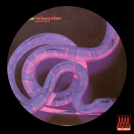 Shades of Rhythm - The Sound Of Eden (Every Time I See Her)